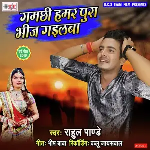 Gamchhi Hamar Pura Bhij Gailba image