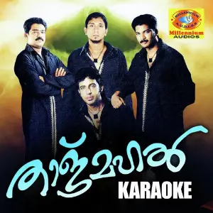 Tajmahal (Karaoke Version) Various Artists