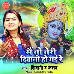 Main To Teri Diwani Ho Gayi Re image