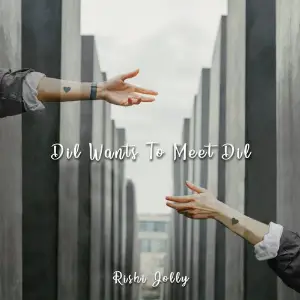 Dil Wants to Meet Dil image