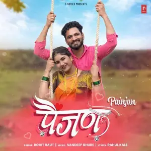 Painjan image