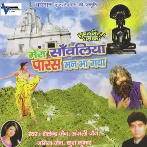 Mera Sawaliya Paras Man Bha Gaya image