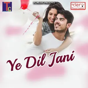 Ye Dil Jani image