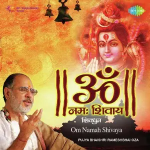 Om Namah Shivay image
