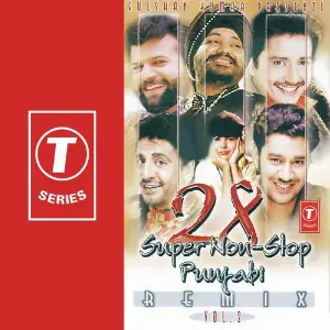 28 Non Stop Punjabi image