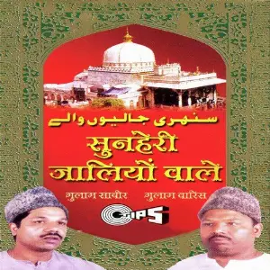 Sunhari Jaaliyon Wale image
