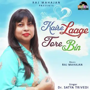 Kaise Laage Tore Bin image