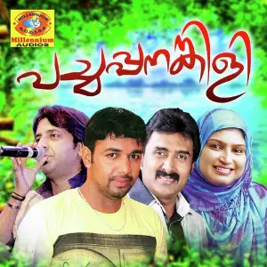 Pachapanamkili image