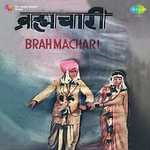 Brahmachari image