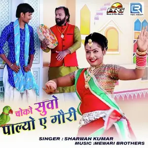 Choko Suvo Palyo Gouri image