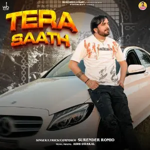 Tera Saath image