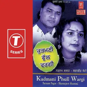 Kudmani Phull Wargi image