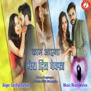 Kam Aayega Mera Dil Bewafa image