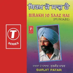 Birakh Jo Saaz Hai image