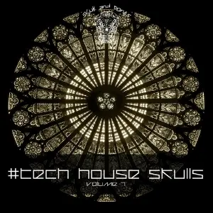 Tech House Skulls, Vol. 7 image