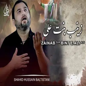 Zainab s.a Bint e Ali a.s image