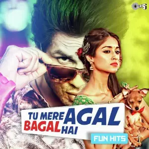 Tu Mere Agal Bagal Hai - Fun Hits image