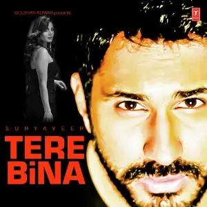Tere Bina image