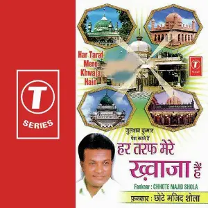 Har Taraf Mere Khwaja Hain image