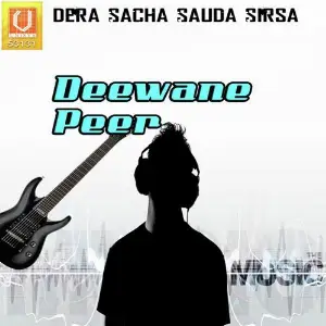 Deewane Peer image