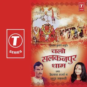 Chalo Salkanpur Dhaam image