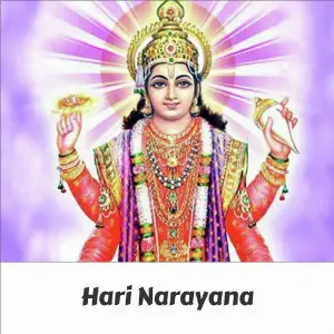Hari Narayana image