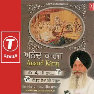 Anand Karaj (Vol. 9) image