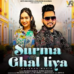 Surma Ghal Liya image