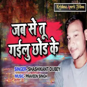 Jab Se Tu Gailu Chhod Ke image