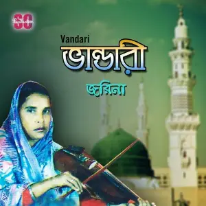 Vandari image
