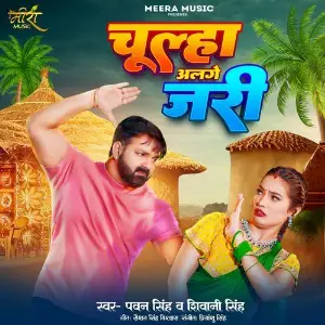 Chulha Alage Jari image