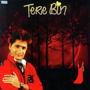 Tere Bin image