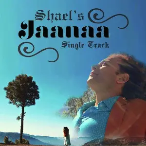 Ansh Shael Oshwal