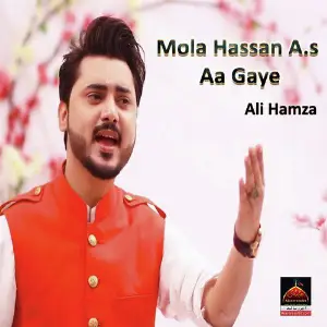 Mola Hassan A.s Aa Gaye image