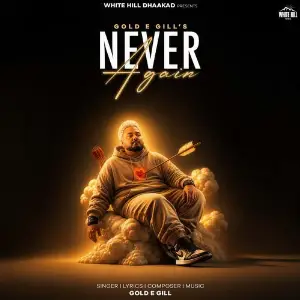 Never Again image