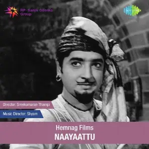 Naayaattu image