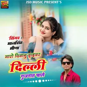 Maro Diwanu Driver Delhi Gujarat Chale image