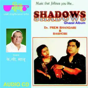Shadows image