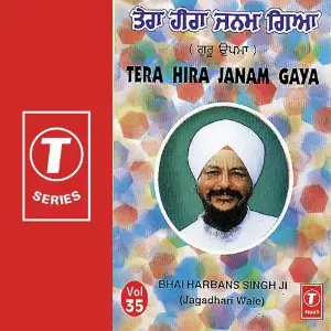 Tera Hira Janam Gaya (Vol. 35) image