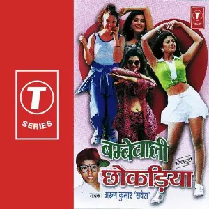 Bambe Wali Chokadiya image