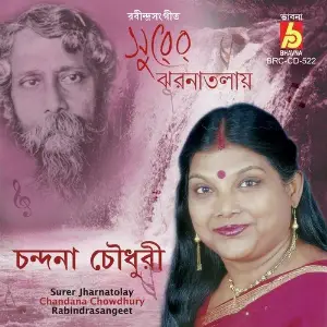 Surer Jharnatolay image