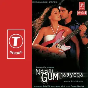 Naam Gum Jaayega image