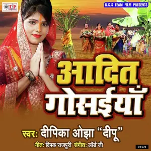 Aadit Gosaiya image