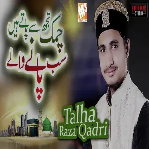 Chamak Tujhse Paate Hain - Single image
