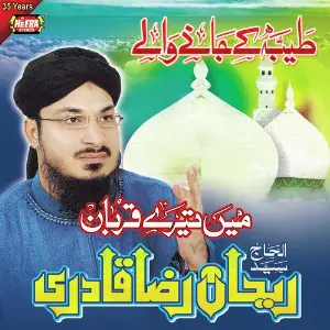 Taiba Ke Jane Wale image