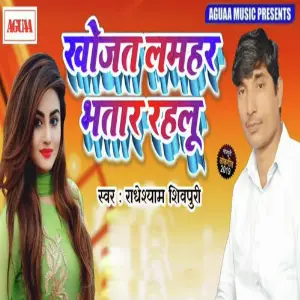 Khojat Lamhar Bhatar Rahalu image