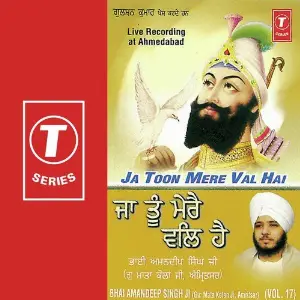 Ja Toon Mere Val Hai (Vol. 17) image