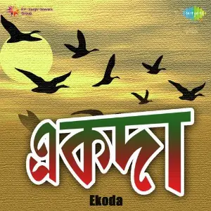 Ekoda image