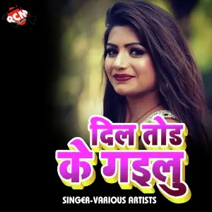 Dil Tod Ke Tu Gailu image