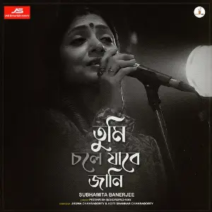 Tumi Chole Jabe Jani image